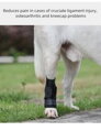 PEPU Opěra nohou psa pro podporu kotníku Rear Leg  ortéza, Barvy a parametry S