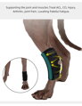 PEPU Opěra nohou psa pro podporu kotníku Rear Leg  ortéza, Barvy a parametry S